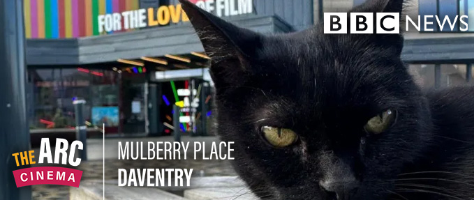 Celebrating Salem 🖤